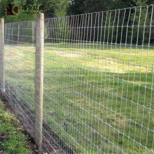 Surrounding Type Metal Fence for Grassland /field Fence Attractive Appearance thumbnail-5