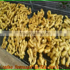 Chinese Red Fuji Apple/Apple Fresh thumbnail-6