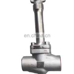 Cryogenic Oxyogen Liquid Used Extension Globe Valve Globe Valves for Water Oil Gas Flanges End LF2 Materials thumbnail-1