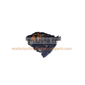 Foton Auman/Aumark/Miler/Land Pioneer Weichai Engine Gearbox ZF/Fast Truck Spare Parts 1B24951205100 Carpet Assy thumbnail-4