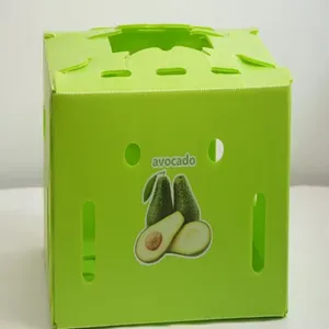 Corflute Vegetable Box thumbnail-3