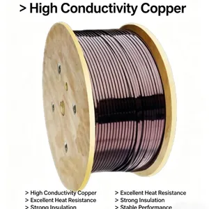 Custom Shaped Flat Enameled Solid Pure Copper Wire 600V Rated IP67 -55~250 for Inductor & Motor Coil Winding thumbnail-2