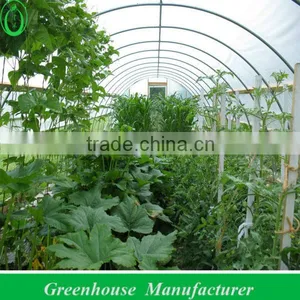 Vegetable Tunnel Greenhouse thumbnail-1