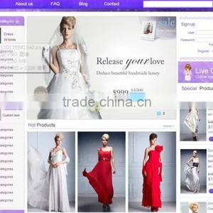 Website Design Company in China thumbnail-1