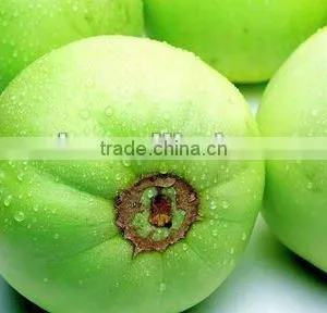 Green Sweet Hybrid Melon Seed f1 thumbnail-1