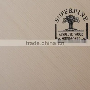 Upright Piano ER8-120 Musical Keyboard China Schumann thumbnail-5