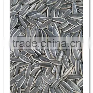 Sunflower Seeds 5009 0409 thumbnail-1