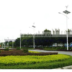 China High Luminance LED Solar Wind Led Street Lights thumbnail-1