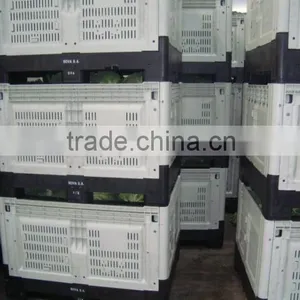 Stackable Foldable Storage Box Pallet for Vegetables and Fruits thumbnail-2