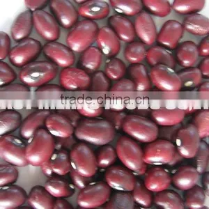 Red Kidney Bean thumbnail-1