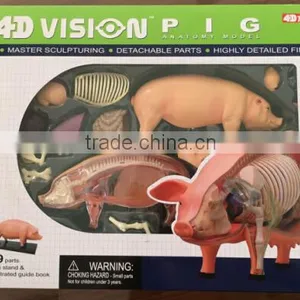 V-AM057 4D MASTER Pig Specimens Anatomical Model thumbnail-6
