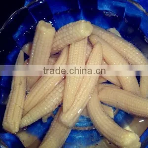 In Stock ! 425g Canned Baby Corn thumbnail-1