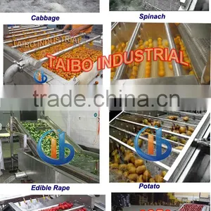 Fruit Processing Machinery Washer Type Apple Washing Machine thumbnail-3