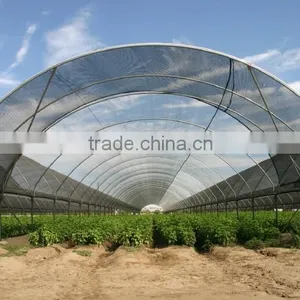 30% Agriculture HDPE Tape Shading Net , Cheap Netting thumbnail-6