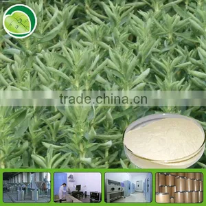 Factory Stevia Extract Powder thumbnail-1