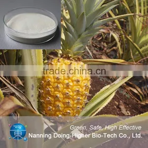 Food Grade Plant Extract Manufacturer Direct Selling Pineapple Extract Powder Bromelain thumbnail-3