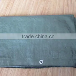 Yard Tarp for Yard Clean-up Cover pe Tarpaulin thumbnail-3