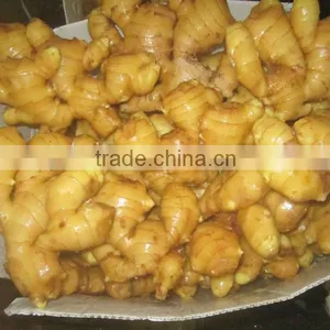 China Ginger Factory/competitive Price thumbnail-1