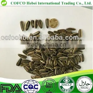 Roasted Sunflower Seeds With All Flavors thumbnail-1