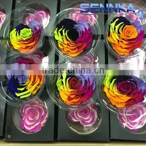 Heartshaped Long Life Rose Preserved Flowers for Arrangement thumbnail-4