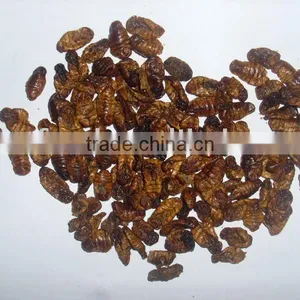 Microwave Dried Silkworm thumbnail-1