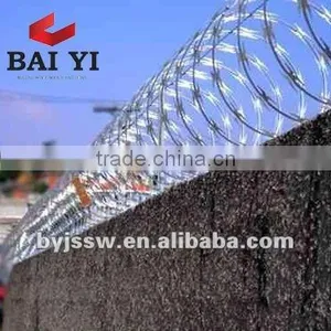 Security Wall Spikes thumbnail-1