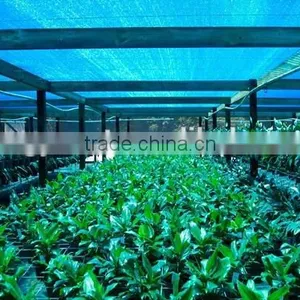 Agriculture Green House Sun Shade Net thumbnail-1
