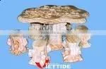 Table Set thumbnail-1