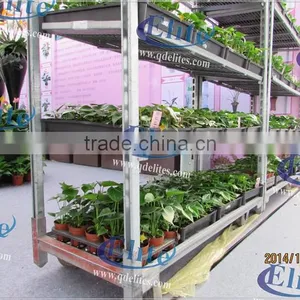 330 Glasshouse Tool Car thumbnail-6