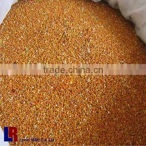 Aquarium Fish Feed Production Line thumbnail-1