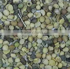 Automatically Soybean Color Sorter Machine thumbnail-4