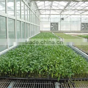 Cheaper Top Quality Best Price Plant Seed Starter Trays thumbnail-6