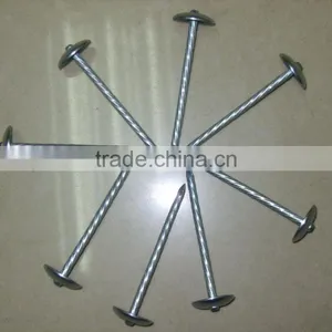 / /chinese // Anping Nails // Manufacturers// thumbnail-1