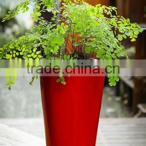 Contemporary Planters thumbnail-1