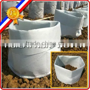 Non Woven Polyester Planting Felt, Grow Felt, Plating Non Woven thumbnail-5