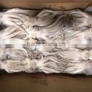 Frozen Squid Tentacles/squid Head From Food Distributors thumbnail-1