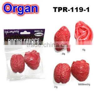Promotional Soft Organs Toys for Kids thumbnail-1