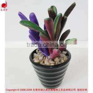 Factory Hot Sale Artificial Succulents Plants Mini Artificial Succulents thumbnail-1
