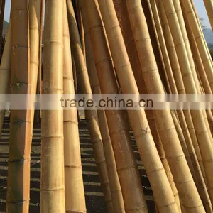 Raw Moso Bamboo Poles /canes/sticks thumbnail-1