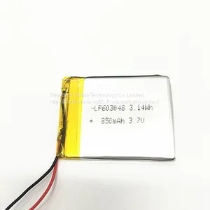 Lipolymer Battery thumbnail-1