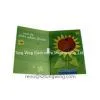 Music Envelope Greeting Cards thumbnail-1