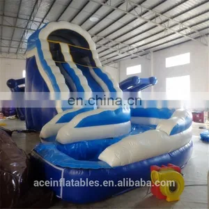 Giant Inflatable Water Slide for Adult,Ace Summer Water Slide,adult Size Inflatable Water Slide thumbnail-6