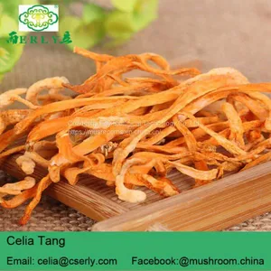 Herb Flower Dried Cordyceps thumbnail-1