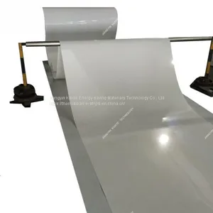 PP Poultry Farm Manure Belt Automatic Manure Removal System thumbnail-1