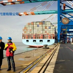 Shanghai to Onne Seaport FCL Cargo Freight Nigeria West Africe Line Logistic Service thumbnail-3