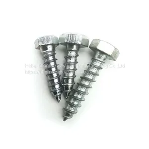 DIN571 M6 M12 Hex Head Wood Screw Fastener thumbnail-2