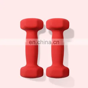 Ladies Kids Fitness Plastic Dipping Dumbbells Plastic Dip Dumbbell Sets thumbnail-6