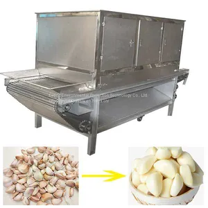 Garlic Peeling Machine Industrial Price|Garlic Peeling Machine | Garlic Peeler Machine Price in Pakistan thumbnail-1
