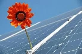 Solar Photovoltaic Panels thumbnail-1