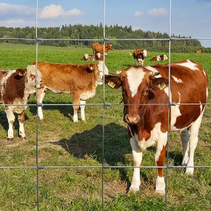 Fixed Knot Iron Wire Mesh Fence for Agriculture and Livestock Fields thumbnail-1